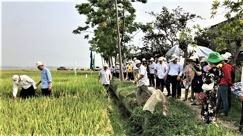 Điện Biên tăng cường năng lực ứng phó biến đổi khí hậu trong sản xuất nông nghiệp