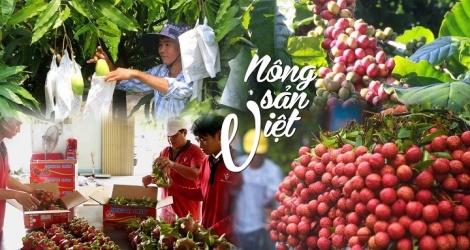 EU giảm một nửa số cảnh báo đối với nông sản xuất khẩu của Việt Nam