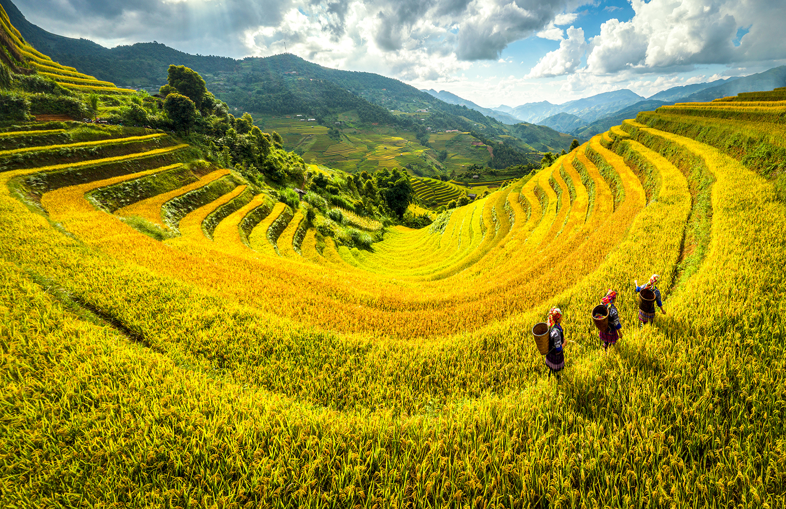 tong dieu tra nong thon nong nghiep co so xay dung chien luoc chinh sach phat trien nong thon
