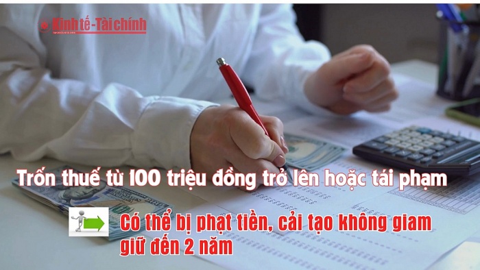 VIDEO: Cẩn trọng với hành vi khai khống thuế: Tránh rủi ro hình sự
