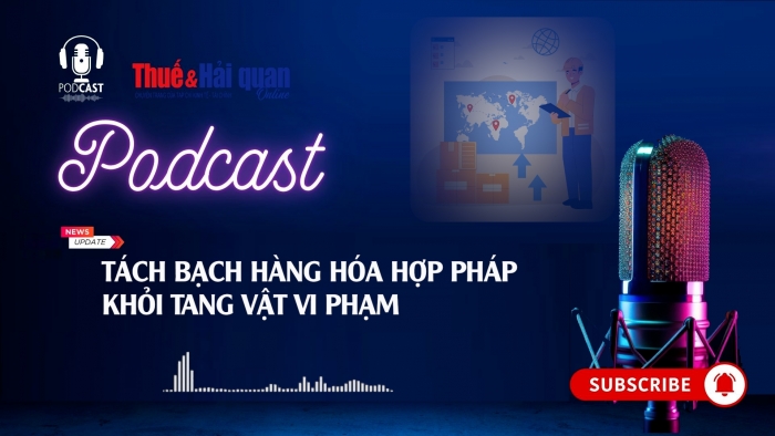 PODCAST: Tách bạch hàng hóa hợp pháp khỏi tang vật vi phạm
