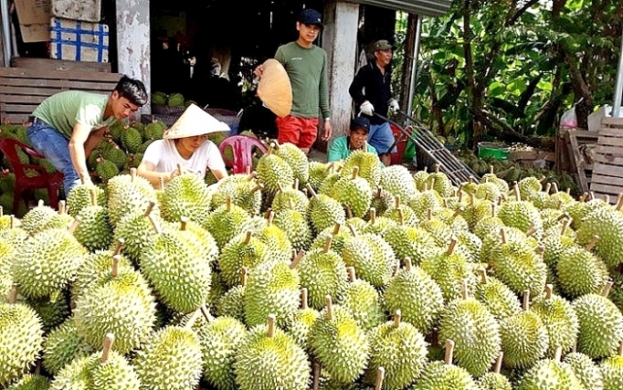 Bản tin Podcast tổng hợp tuần 2 tháng 8/2022  (Từ ngày 1/8 đến ngày 7/8)